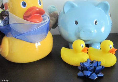 Yellow ducks - pig, yellow, blue, photography, ducks