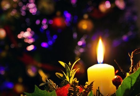 ๑♥๑ Christmas Lights ๑♥๑ - warmth, winter, forever, beautiful, candle, believe, flame, love, christmas, colorful, christmas tree, nature, hope, lights