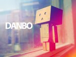 Danbo