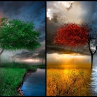 Landscapes winter trees autumn summer spring rainbows !