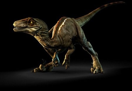 Velociraptor - Dinosaurs & Animals Background Wallpapers on Desktop ...