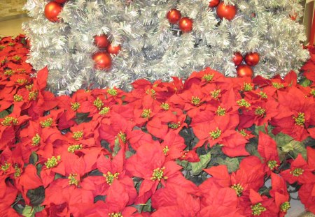 Poinsettia under the Christmas tree - poinsettia, red, silver, flowers, yellow, green