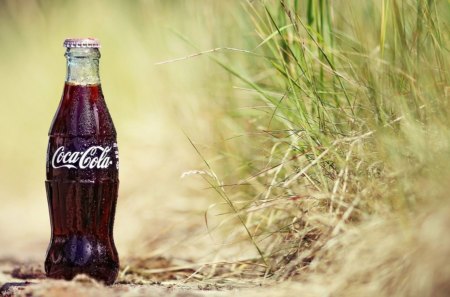 REFRESHMENT IN NATURE - soft drinks, outdoors, refreshments, coke, fields, food