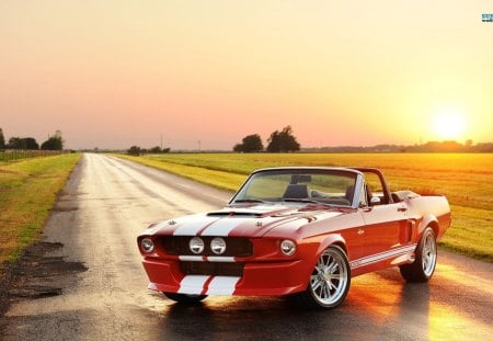 Shelby GT500 CR Convertible - muscle car, cars, one of a kind, shelby