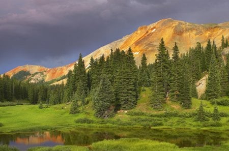 Nature - tree, forest, pond, nature