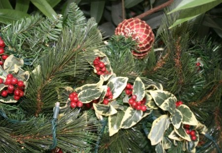 Christmas decorations 41 - red, plant, ornament, photography, green