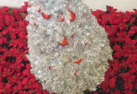 Christmas decorations 44 - balls, decor, silver, red, green, photography, poinsettia, tree