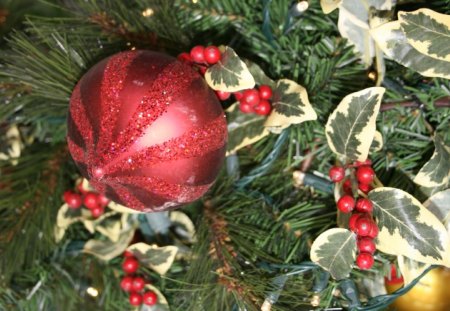 Christmas decorations 46 - ornament, photography, red, green