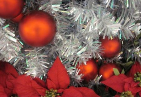 Christmas decorations 56 - poinsettia, red, silver, balls, photography, tree, green