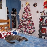 paws and christmas tree