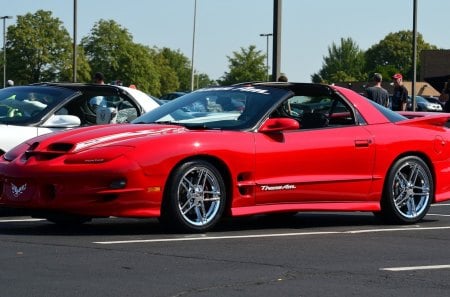 Trans am - trans an, musclecar, car, pontiac