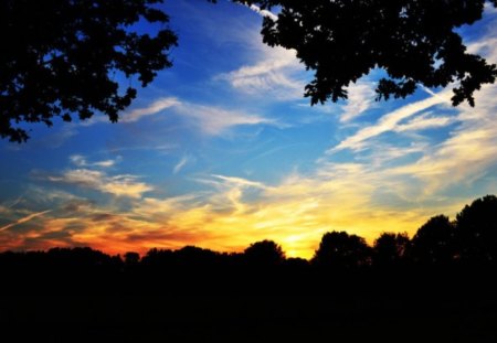 Glory - silhouette, sky, trees, sunset