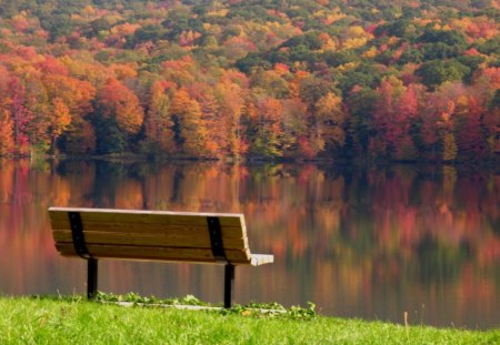 in the riverside - nature, bench, autumn, river