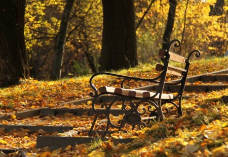 autumn park bench - forest, nature, park, autumn