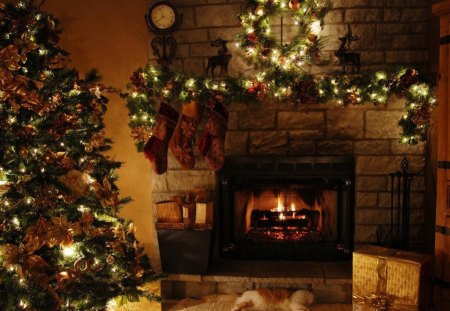 THE SEASON OF PEACE - expectancy, peace, pets, stockings, gold, christmas, hearth, tranquility, evening, cats, homes, interior, tree, lights