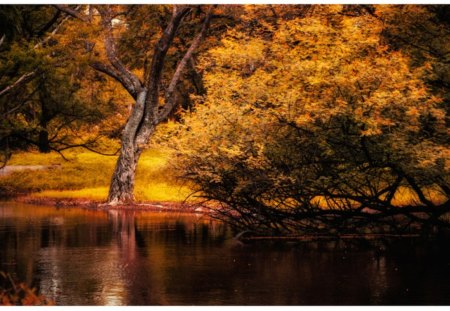 Autumn River - reflections, trees, leaves, colors, sunset