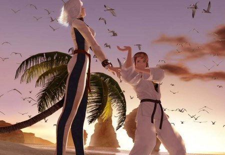 Dead or Alive III - fighter, clouds, bird, elegant, summer, beach, karate, man, sunset, dead or alive iii, woman, black dress, sky