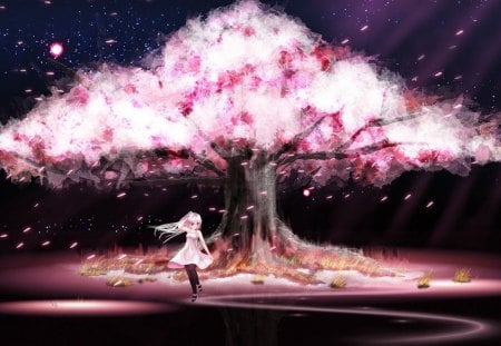 Cherry blossoms tree - pink, anime, night, blossom, cherry