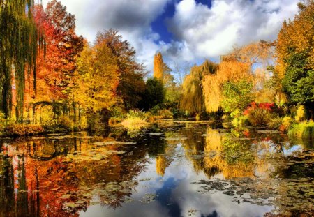 Autumn reflections - nice, sky, autumn, trees, colorful, foliage, calm, fall, reflection, golden, pond, willows, lake, falling, shore, lovely, serenity, nature, tranquil, beautiful, leaves