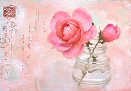 Rose Palette - palette, rose, roses, post card