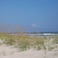 Dunes on Emerald Isle