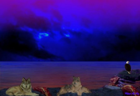 Blue Magic 2 - wolf, eagles, mountains, sunsets, lakes, wolves