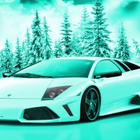 snow lambo