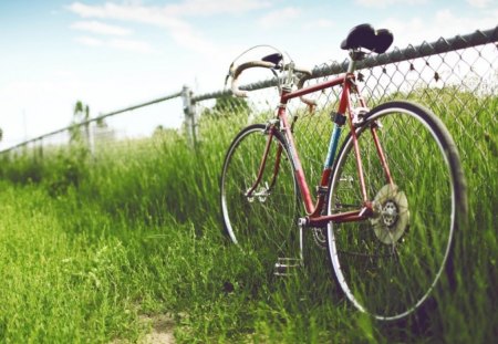 lean on fence - nature, fence, bike, grass