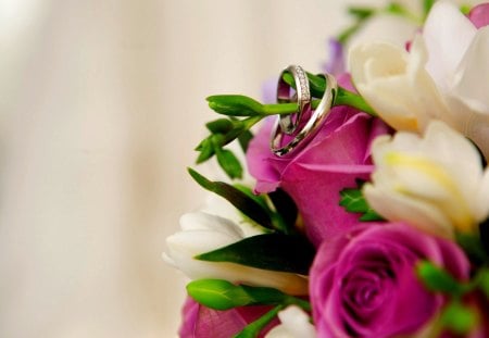 WEDDING RINGS - flowers, flower, buds, rings