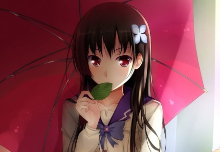 Sankarea - school uniform, sankarea, zombie, rea, innocent, afterlife, sanka