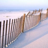 fence in winter