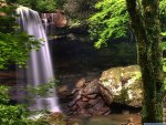 waterfall in the forest