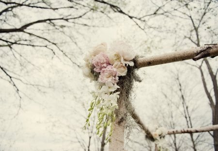 ๑~♥๑ December Delicacy ๑♥~๑ - celebration, precious, pale pink, balcony, sky, winter, forever, special, out door, lovely, love, sweet, bouquet, peonies, christmas, december, nature, season, arrangement, day