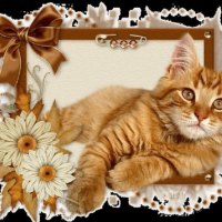 Framed kitty
