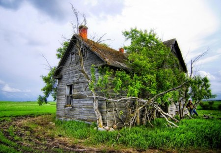 AN OLD HOUSE - abandoned, house, old, man