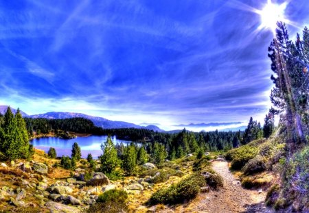 LAKE VIEW - lake, trees, sunlight, hdr, pines