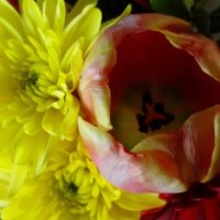 Bouquet of yellow sunshine flowers