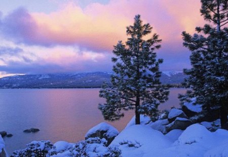 winter on the lake - lake, sky, mountain, trees, popular, water, winter, mountains, wallpaper, shore, nature, lakes, snow, winte, dusk, pine trees