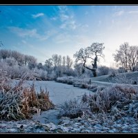 winter in fields