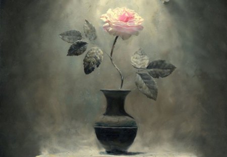 pink Rose - beauty, light, wall, pink, rose, vase