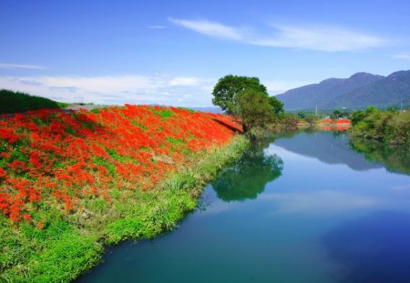 Spring River - mountains, landscape, beauty, flowers, spring, hills, lake, sky, silence, clouds, river, splendor, reflectoin, tree, nature