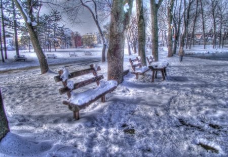 WINTER PARK - trees, winter, hdr, benches, snow, park