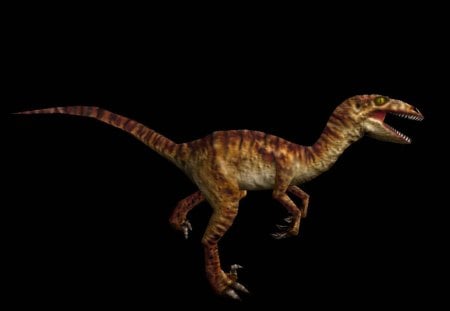 Carnivores Dinosaur Hunter Velociraptor - carnivores, hunter, velociraptor, dinosaur