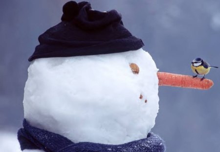 Snowman Has A Visitor - bird, snowman, winter, sky