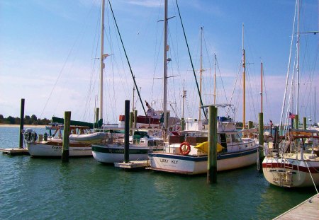 Dock Side - summer, ocean, fishing, boats