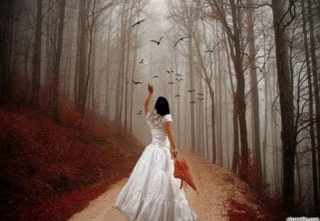 Lost in the Forest - trees, fantasy, lady, autumn, forest, woods