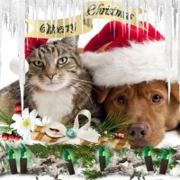 Christmas Animals