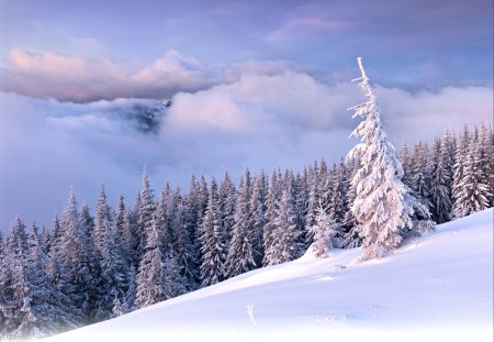 Winter Time - beauty, sky, trees, magic, peaceful, mountains, view, winter time, clouds, tree, snowy, hill, hills, landscape, winter, lovely, nature, snow, beautiful, magic winter, splendor, winter splendor