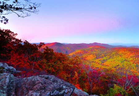 Canadian Autumn - leaves, colors, trees, rocks