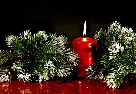 ๑♥๑ Flame of Hope ๑♥๑ - winter, forever, candle, believe, flame, love, light, faith, christmas, nature, hope, red, green